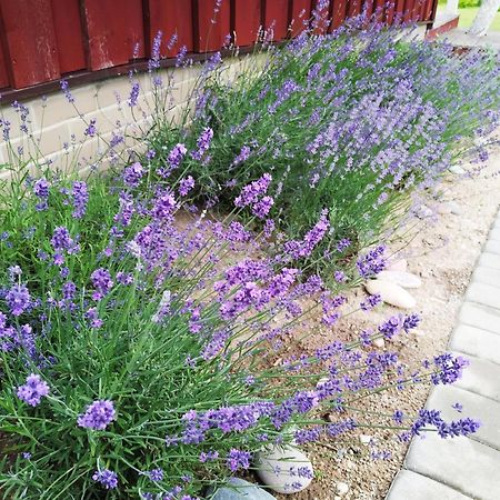 9 Min From Palanga! Luxury House On The River And Sauna Kretinga Exterior photo